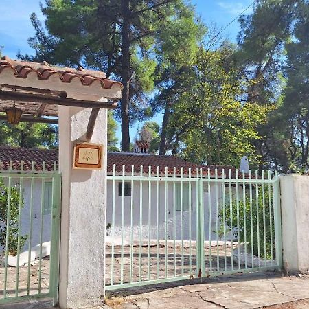 Villa Nefeli Sani  Esterno foto