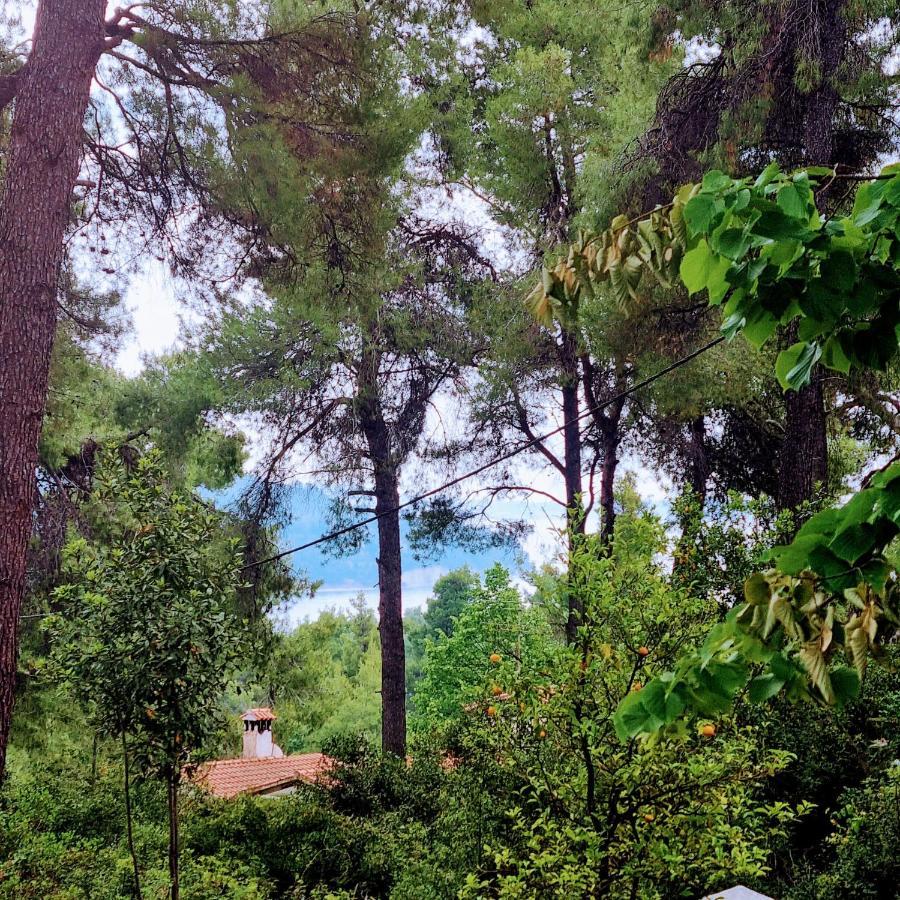 Villa Nefeli Sani  Esterno foto