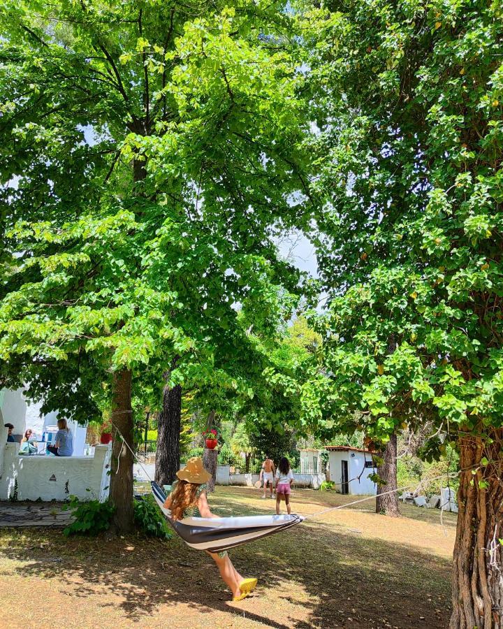 Villa Nefeli Sani  Esterno foto